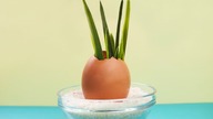 16 Simple Ideas and Crafts