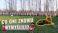 Ochrona ogrodu na zimę.  KONKURS