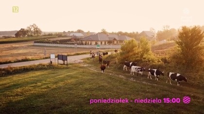 Polsat Reality - Reklamy, zapowiedź i animacja loga w Wielkanocnej oprawie graficznej (02. 04. 2026)