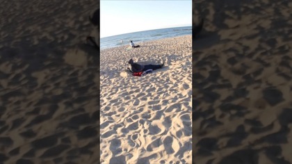 czy wpadł pan do dziury  #plaża #dziury #mielno