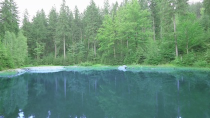 10H Forest Lake – Spokojne Dźwięki Jeziora w Lesie do Relaksu i Snu