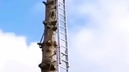 Not such a good day at work
