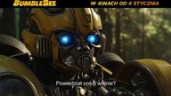 Bumblebee  spot 10 s. (2)