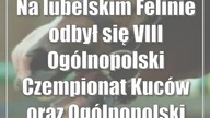 Na lubelskim Felinie odbył się VIII Ogólnopolski Czempionat Kuców oraz Pokaz Kuców i Koni Małych