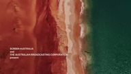 Delfiny- Czy nie kochamy ich za bardzo.  - Dolphins- Is Our Love Too Deep.  (2025)