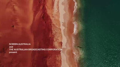 Delfiny- Czy nie kochamy ich za bardzo.  - Dolphins- Is Our Love Too Deep.  (2025)