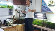 Zakładamy 100l akwarium.