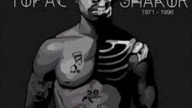 2pac Wrath Of Makaveli