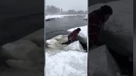 On raczej tego dobrze nie przemyślał i prawie zaliczył morsowanie.  #fail #funny #lol #ice