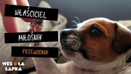 Właściciel - Miłośnik - Przewodnik