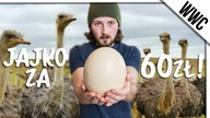 JAJKO ZA 60ZŁ?! (Feat.  Awięc) - WWC #91