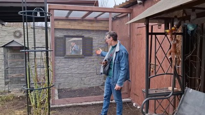 Woliera dla gołąbków diamentowych * Garden kuRaż * 02.  03.  2025