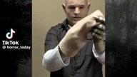 gadzi świat bez komentarza