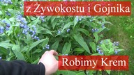 Zrobisz ten krem w kilka minut.  100% naturalny i regenerujący.