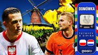 POLSKA - HOLANDIA: DOMÓWKA! | Tetrycy i Sipika | Euro 2024