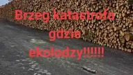 Nasze Polskie  Lasy ..