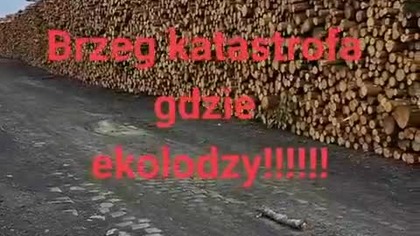 Nasze Polskie  Lasy ..