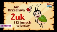 Żuk - Jan Brzechwa i 12 innych znanych wierszy - 18 minut zabawy