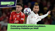 Cierpieliśmy, ale były przebłyski.  Polska zostaje w elicie