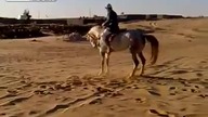 2xfail