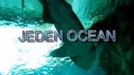 Jedna planeta, jeden ocean