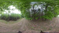 Letni deszcz w lesie, 360&deg; VR &mdash; pogranicze polsko-niemieckie, prawdziwe nagranie terenowe