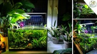 45l akwarium na parapecie.