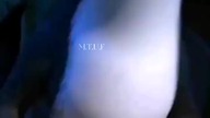 #httyd #shorts #thunder #nightfury #toothless