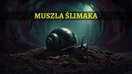 Creepypasta - Muszla Ślimaka [Lektor PL]