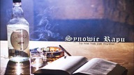 06.  Synowie Rapu - M2 (SPR solo) | 2012