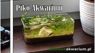 Piko Akwarium