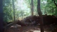 Amulet ochronny i rytuał lustro Idziemy do lasu