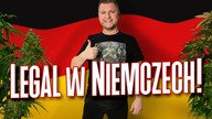 Niemcy zalegalizują marihuanę! Decyzja nowej koalicji rządzącej.  Jakie są potencjalne zagrożenia?