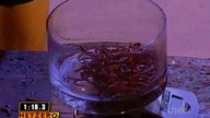 Fear Factor S04E11Family Fear Factor