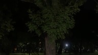 Nocny Vlog #8 - Jak reagować na emocje?