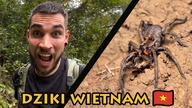 Karmię DZIKIE pająki  Wietnam odc.  4