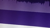 Speed w Miękkim Futerku #shorts #podcast #news