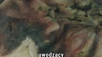 NOSFERATU NAWIĄZUJE DO PODAŃ LUDOWYCH? #horror #ciekawostki #nosferatu