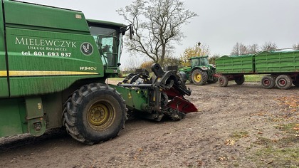 Może i plony nie są najżywsze za to cena też jest niska