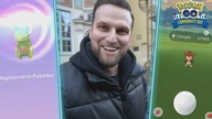 Chespin Community Day! Łapię Kecleona w Pokémon Go