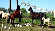 Podsumowanie: Luty i Marzec