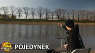 Jakie podejście jest najlepsze?? - FEEDER POJEDYNEK