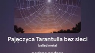 2024.07.05 - 4b2 - Pajęczyca Tarantulla bez sieci - ballad metal - tekst Ewa Lipka, śpiew i muzyka S