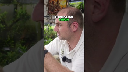 Kora w akwarium  czy to się ROZLECI?  Sprawdzam po czasie!