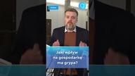Jaki wpływ na gospodarkę ma grypa #shorts