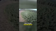 Szokujące spotkanie z upiorną dziewczyną w lesie! #paranormalne #viral