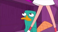 Fineasz i Ferb - Przygoda z uliczną kamerą / Kręgielnia.  Oglądaj w KSTV Kids!