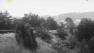 Barwy Walki (1964 )