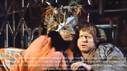 Frog Spirits From Worlds Mythology (Compilation)