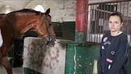 BOJĘ SIĘ KONI, WIĘC JEŹDZIŁAM KONNO | Aria Dottie
